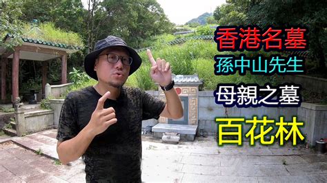 駱法丹評價|風山水堂。駱法丹 